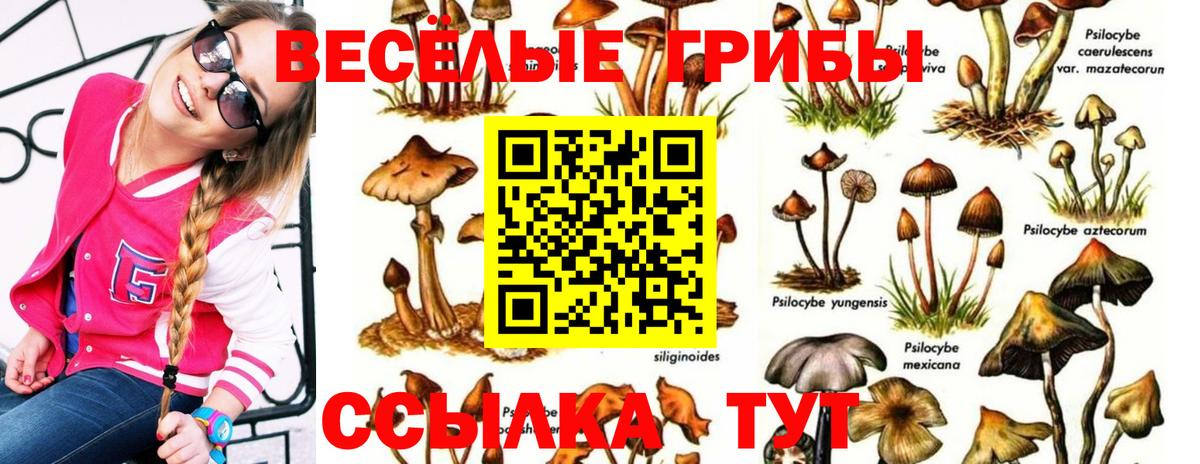 Печора  Псилоцибиновые грибы мицелий  Вход с VPN 